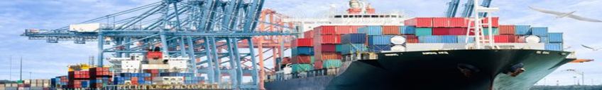 ANUNCIO RECTANCULAR ESTRECHO